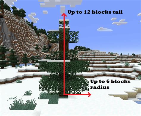 All about Minecraft Spruce Tree and why it doesn't grow.